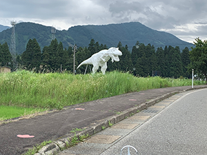 かつやまディノパークで和服を着てビジャーナスを踊る人