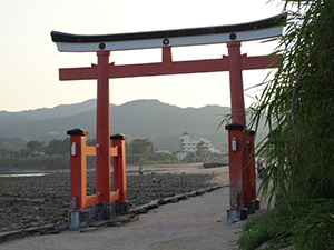 青島神社で和服を着てビジャーナスを踊る人