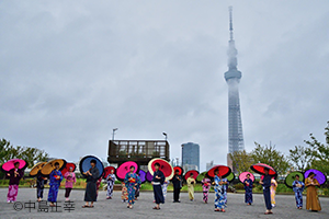 隅田公園で和服を着てビジャーナスを踊る人